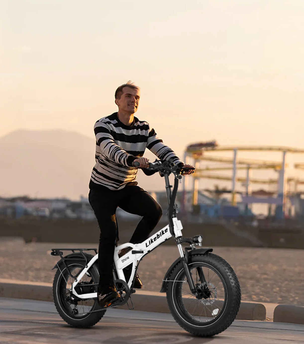 E003 Foldable Electricbike
