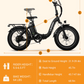 E007 Foldable Electricbike