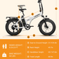 E003 Foldable Electricbike