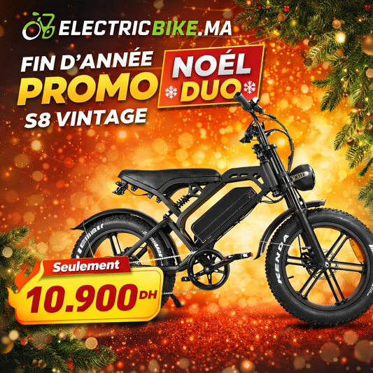 S8 Vintage Vélo électrique de route 500W, Ebike 48V 15Ah avec batterie au lithium amovible, autonomie de 50 km, pneu large tout-terrain de 20 pouces.