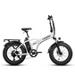 E003 Foldable Electricbike