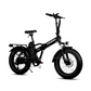 E003 Foldable Electricbike