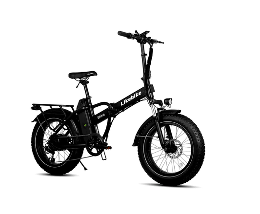E003 Foldable Electricbike