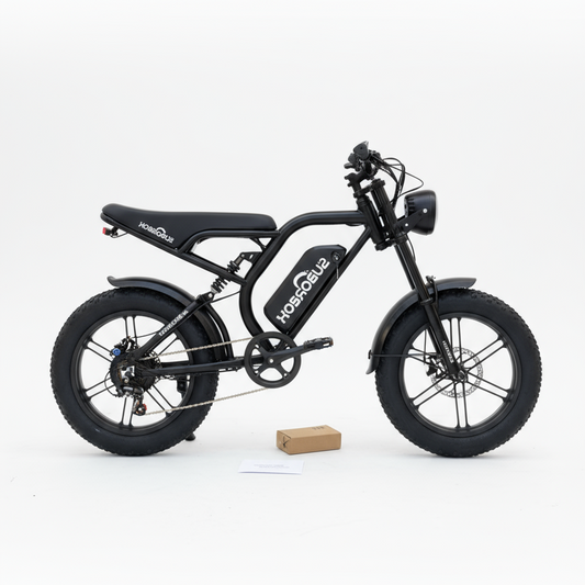 S5 FATBIKE 48V – 15Ah amovible